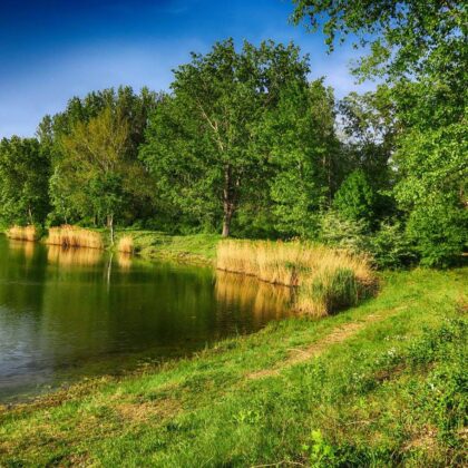 šintava-priprava-na-preteky_IMG_3593_HDR_T