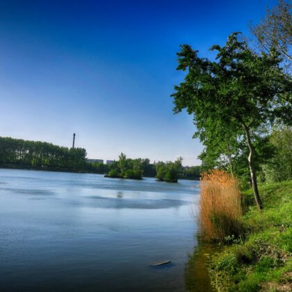 šintava-priprava-na-preteky_IMG_3617_HDR_T