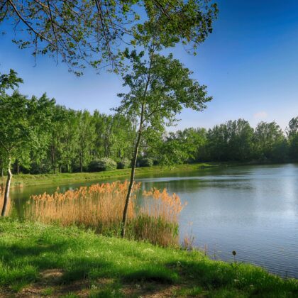 šintava-priprava-na-preteky_IMG_3631_HDR