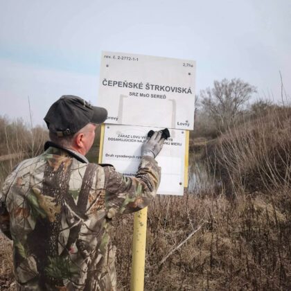 e578551981d1ea137f97218233df48e5