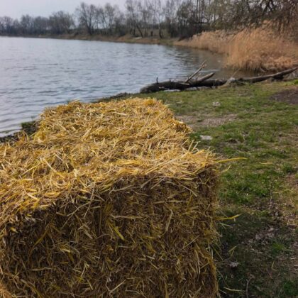 f00d41c3d75dc9eb4741042284784537