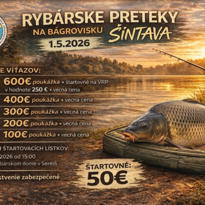 Gemini_Generated_Image_pvnug4pvnug4pvnu